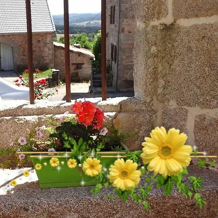 La Maison D'alphonse 4 Personnes *
